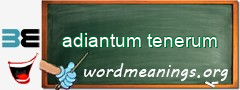 WordMeaning blackboard for adiantum tenerum